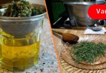 დაივიწყეთ თავბრუსხვევა, ართრიტი, ფარისებრი ჯირკვლის პრობლემები და სხვა უსიამოვნო სიმპტომები ამ მცენარის დახმარებით!