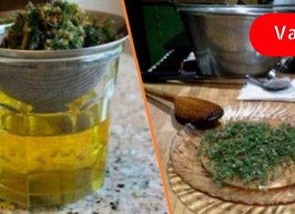 დაივიწყეთ თავბრუსხვევა, ართრიტი, ფარისებრი ჯირკვლის პრობლემები და სხვა უსიამოვნო სიმპტომები ამ მცენარის დახმარებით!