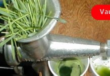 საკვერცხისა და თირკმლის ცისტების სამკურნალოდ გამოიყენეთ ეს საშუალება! ის ნამდვილი შვებაა!