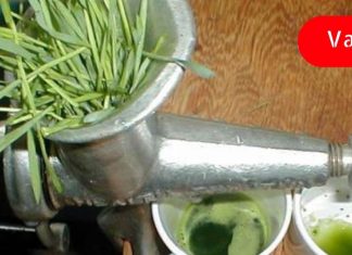 საკვერცხისა და თირკმლის ცისტების სამკურნალოდ გამოიყენეთ ეს საშუალება! ის ნამდვილი შვებაა!