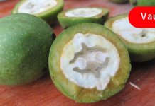 მე ფარისები ჯირკვლის პრობლემა მწვანე კაკლის მიღებით მოვირჩინე! აი რას ვაკეთებდი!