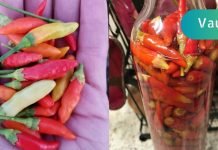 როგორ უნდა ავიცილოთ თავიდან გულის შეტევა მხოლოდ 1 წუთში! ეს ყველამ უნდა იცოდეთ!