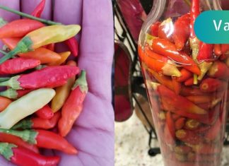 როგორ უნდა ავიცილოთ თავიდან გულის შეტევა მხოლოდ 1 წუთში! ეს ყველამ უნდა იცოდეთ!