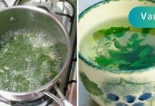 წონის სწრაფი დაკლების საიდუმლო რეცეპტი: მინუს 2 კგ 5 დღეში!