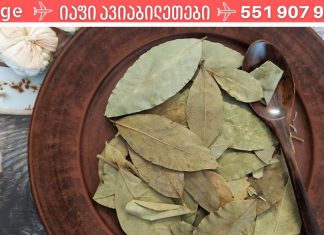 აი რა დაავადებების განკურნება შეუძლია დაფნას! ეს უნდა იცოდეთ!