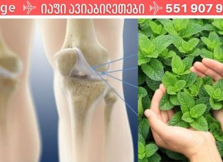 გამოიყენეთ პიტნა მუხლებს შორის ხრტილის აღსადგენად.. მე ამით გადავირჩინე მუხლები!