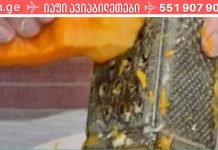 გოგრა კურნავს ტკივილს მუხლებზე, სახსრებში და აღადგენს ძვლებს! სანამ არ ვცადე არ მჯეროდა! ეფექტი არის ბომბი!