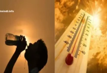 ტემპერატურის მატება საქართველოში amindi sakartveloshi